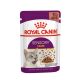 Royal Canin Feline Health Nutrition Sensory Taste Jelly macska tasak 12x85g