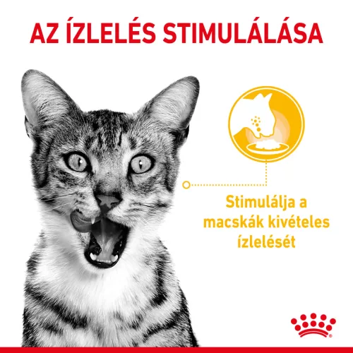 Royal Canin Feline Health Nutrition Sensory Taste Jelly macska tasak 12x85g