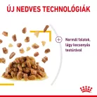 Royal Canin Feline Health Nutrition Sensory Taste Jelly macska tasak 12x85g