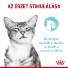 Royal Canin Feline Health Nutrition Sensory Feel Gravy macska tasak 12x85g