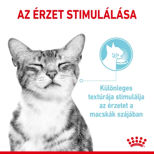 Royal Canin Feline Health Nutrition Sensory Feel Gravy macska tasak 12x85g