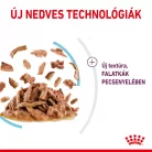 Royal Canin Feline Health Nutrition Sensory Feel Gravy macska tasak 12x85g