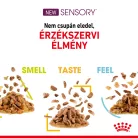 Royal Canin Sensory Feel macska tasak zselés 12x85g