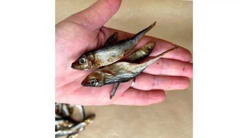 BARF LOVE sprotni prémium jutalomfalat kutyáknak 100g