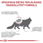 Royal Canin Veterinary Early Renal veseműködés támogatása száraz macskaeledel 400g