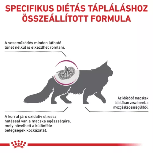 Royal Canin Veterinary Early Renal veseműködés támogatása száraz macskaeledel 400g