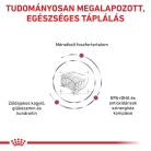 Royal Canin Veterinary Early Renal veseműködés támogatása száraz macskaeledel 400g