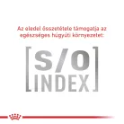 Royal Canin Veterinary Early Renal veseműködés támogatása száraz macskaeledel 400g