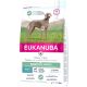 Eukanuba Daily Care száraz kutyaeledel ízületek 2,3kg