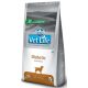 VetLife száraz kutyaeledel diabétesz diéta 2kg