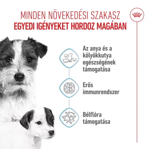 Royal Canin Size Health Nutrition Mini starter Mother&Babydog száraz kutyaeledel 4kg