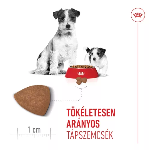 Royal Canin Size Health Nutrition Mini starter Mother&Babydog száraz kutyaeledel 4kg