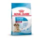 Royal Canin Size Health Nutrition Medium starter Mother&Babydog száraz kutyaeledel 15kg