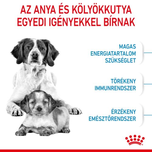 Royal Canin Size Health Nutrition Medium starter Mother&Babydog száraz kutyaeledel 15kg