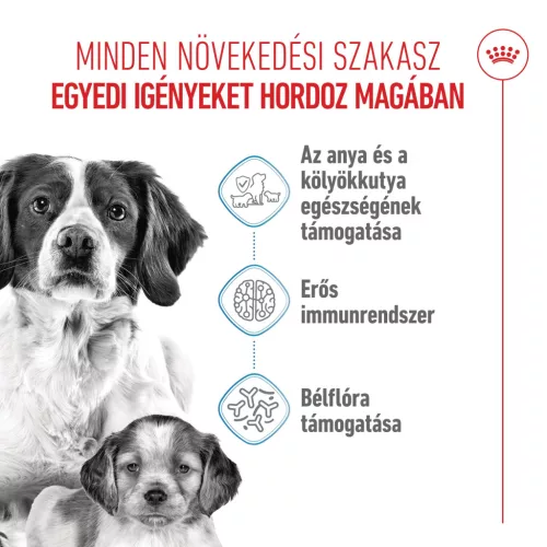 Royal Canin Size Health Nutrition Medium starter Mother&Babydog száraz kutyaeledel 15kg