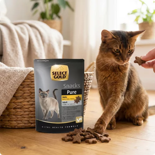 Select Gold Pure macska jutalomfalat adult csirke 75g