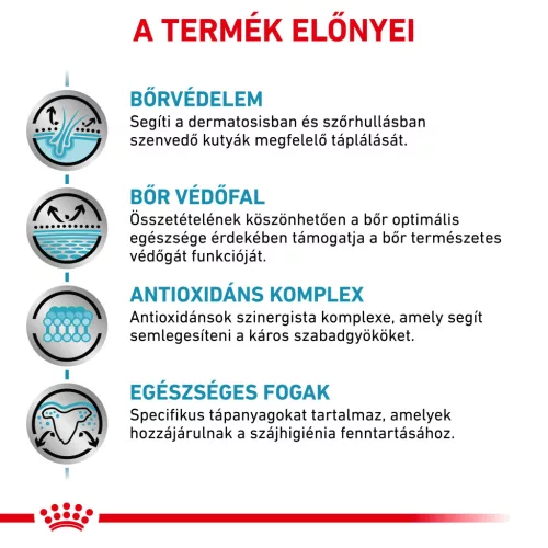 Royal Canin Veterinary Skin care S bőr és szőrtápláló kistestű száraz kutyaeledel 2kg