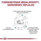 Royal Canin Veterinary Skin care small bőr és szőrtápláló kistestű száraz kutyaeledel 2kg