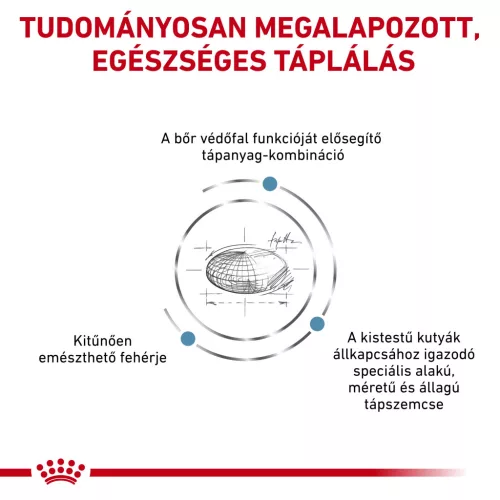 Royal Canin Veterinary Skin care S bőr és szőrtápláló kistestű száraz kutyaeledel 2kg