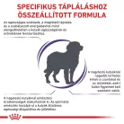 Royal Canin Veterinary Adult L nagytestű felnőtt száraz kutyaeledel 4kg