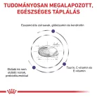 Royal Canin Veterinary Adult L nagytestű felnőtt száraz kutyaeledel 4kg