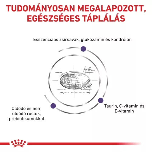 Royal Canin Veterinary Adult L nagytestű felnőtt száraz kutyaeledel 4kg