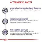 Royal Canin Veterinary Adult L nagytestű felnőtt száraz kutyaeledel 4kg