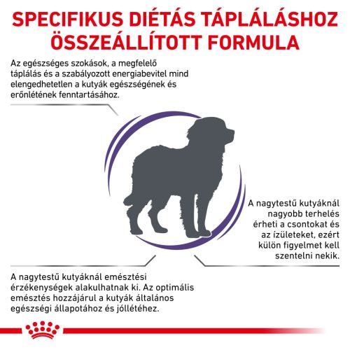 Royal Canin Veterinary Adult large nagytestű felnőtt száraz kutyaeledel 4kg