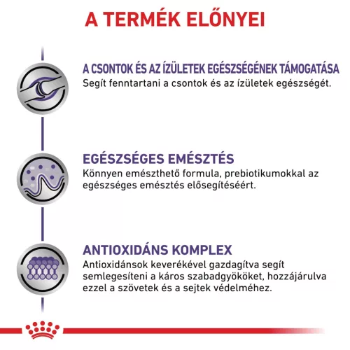 Royal Canin Veterinary Adult L nagytestű felnőtt száraz kutyaeledel 4kg