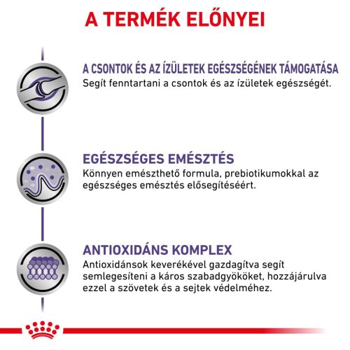 Royal Canin Veterinary Adult large nagytestű felnőtt száraz kutyaeledel 4kg