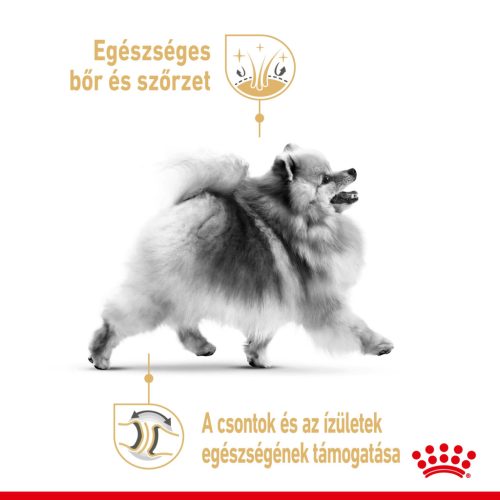 Royal Canin Breed Health Nutrition Pomerániai kutya adult tasak 12x85g