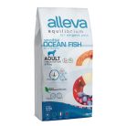 ALLEVA Equilibrium száraz kutyaeledel medium&maxi hal 12kg