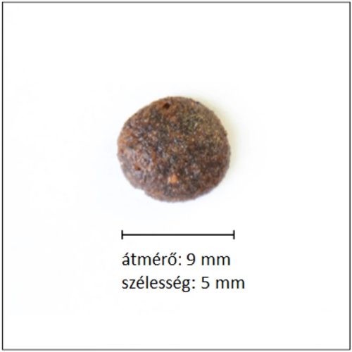 ALLEVA Holistic száraz macskaeledel adult csirke&kacsa 400g