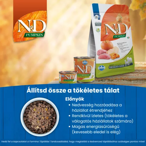 N&D Pumpkin Vaddisznó & Alma Felnőtt Mini Száraz Kutyaeledel  2,5kg