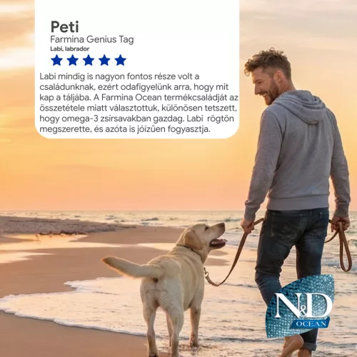 N&D Ocean Tőkehal, Sütőtök & Narancs Felnőtt Mini Száraz Kutyaeledel 2,5kg