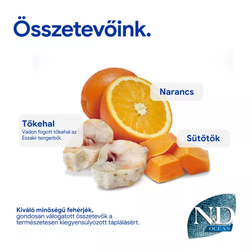 N&D Ocean Tőkehal, Sütőtök & Narancs Felnőtt Mini Száraz Kutyaeledel 7kg