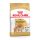 Royal Canin Breed Health Nutrition Pomerániai adult száraz kutyaeledel 500g