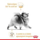 Royal Canin Breed Health Nutrition Pomerániai adult száraz kutyaeledel 500g
