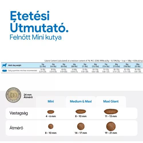 N&D Ocean Hering & Narancs Felnőtt Mini Száraz Kutyaeledel 800g