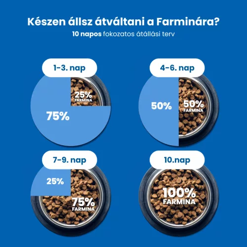 N&D Ocean Hering & Narancs Felnőtt Mini Száraz Kutyaeledel 800g