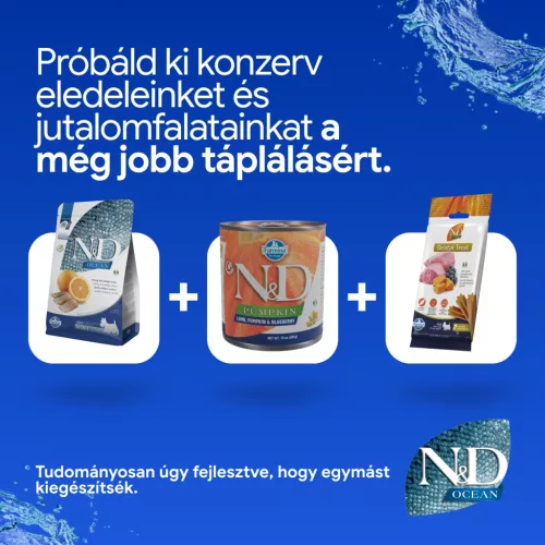 N&D Ocean Hering & Narancs Felnőtt Mini Száraz Kutyaeledel 800g