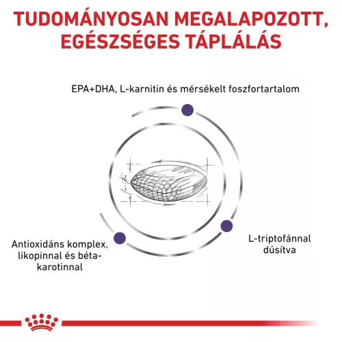 Royal Canin Veterinary Mature consult L nagytestű idős kor száraz kutyaeledel 14kg