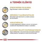 Royal Canin Veterinary Urinary s/o mc alacsony kalória száraz kutyaeledel húgykő 6,5kg