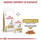 Royal Canin Veterinary Urinary s/o mc alacsony kalória száraz kutyaeledel húgykő 6,5kg