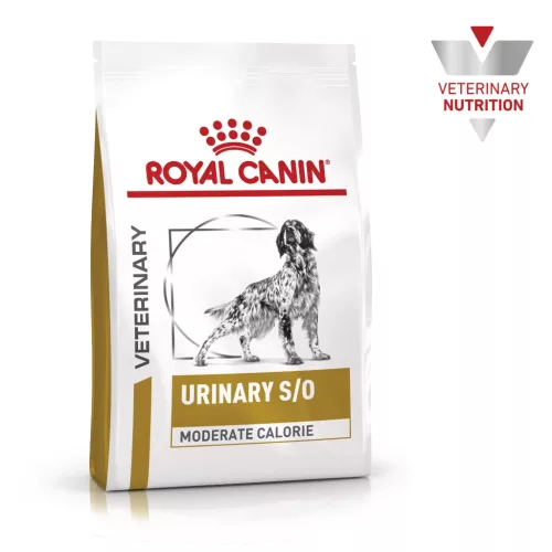 Royal Canin Veterinary Urinary s/o mc alacsony kalória száraz kutyaeledel húgykő 6,5kg