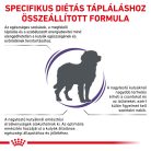 Royal Canin Veterinary Adult large nagytestű felnőtt száraz kutyaeledel 13kg