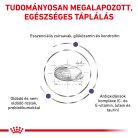 Royal Canin Veterinary Adult large nagytestű felnőtt száraz kutyaeledel 13kg