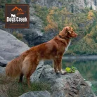 Dogs Creek Pathfinder hám zöld M