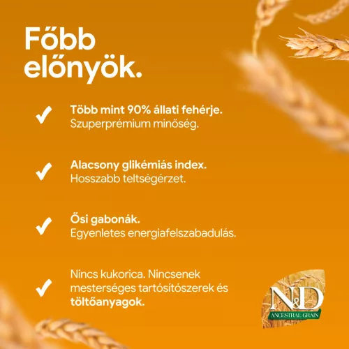N&D Ancestral Grain Bárány & Áfonya Kölyök Medium & Maxi Száraz Kutyaeledel 12kg