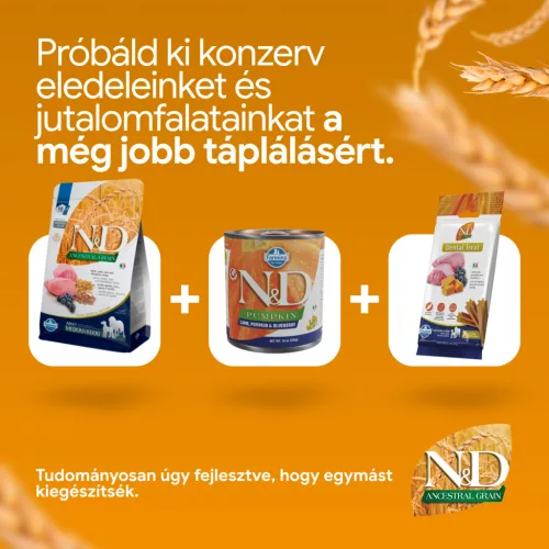 N&D Ancestral Grain Bárány & Áfonya Kölyök Medium & Maxi Száraz Kutyaeledel 12kg